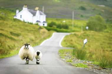 Schottland & Irland