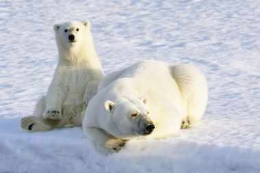Naturschauspiele im Nordmeer mit MS Quest