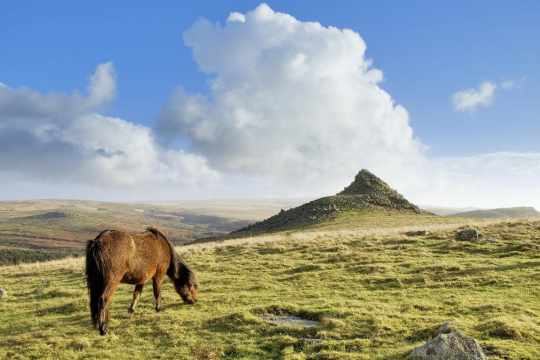 Dartmoor, Devon