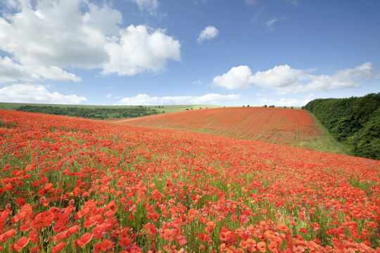 East Sussex
