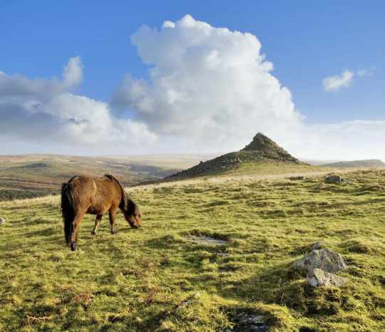 Dartmoor, Devon