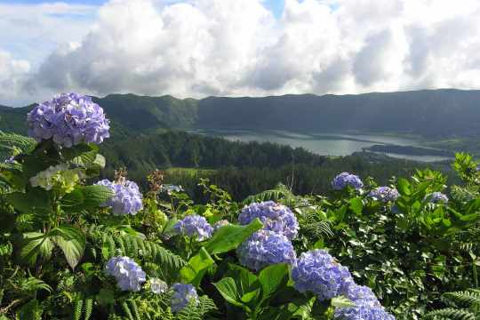 Sete Cidades, São Miguel