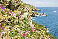 Rundreisen, Wanderreisen, Hotelurlaub auf den Kanalinseln