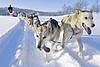 Unser Rundreisen-Tipp für Fans des norwegischen Winters.