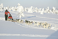 Winterurlaub in Finnland buchen