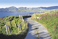 Rundreisen, Autoreisen, Busreisen nach Irland