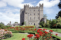 Busreisen Irland buchen