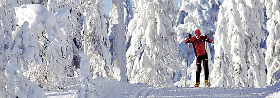 Ein vielfältiges Angebot an Sport, Action und Ausflügen macht Schweden zu einem Winterparadies. Alle Reisen im Überblick