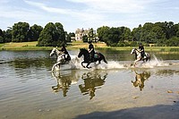 Ferienhaus Irland buchen