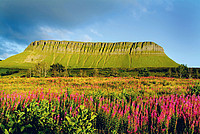 Autoreisen Irland